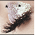 :iconmadz16: