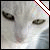 :iconmadzik3323: