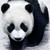 Mae760 :iconmae760:
