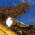 :iconMaelstromRoy:
