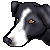 :iconmaerad-adrina:
