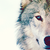 Maestrander :iconmaestrander: