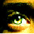 :iconmaestro950: