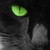 :iconmaeve-awsomness: