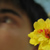 :iconmaexel: