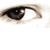 :iconmafa: