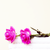 :iconmafaz-mezo: