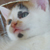 :iconmafe-isiltari: