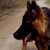 :iconmag0a: