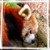 :iconmagalik1: