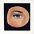 :iconmagamago: