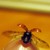 :iconmagdalena-wayne: