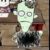 :iconmagdalena20: