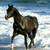 :iconmagdalenkaa92:
