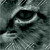 :iconmagdas-92: