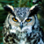 :iconmageblanc: