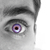 :iconmagg: