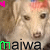 :iconmaggajawea: