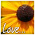 :iconmaggaline911: