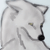 :iconmaggiesmentor: