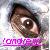:iconmaggot36: