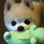 :iconmagic-blueberries: