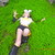 :iconmagic-pickle: