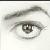 :iconmagic-si: