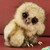 :iconmagical-blue-box: