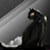 :iconmagicallabs: