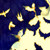 :iconmagicalramen: