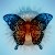 :iconmagicalwishes19: