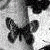 :iconmagicanna: