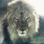 :iconmagicaq: