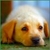 :iconmagicly: