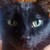 :iconmagicman246: