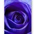 :iconmagicmermaid446: