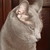 :iconmagicmoonlight:
