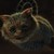 :iconmagicwhiterabbit: