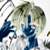 :iconmagihunt:
