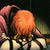 :iconmagik-sage: