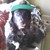:iconmagikalpizza: