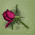 :iconmagithoth: