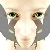 :iconmagmauta: