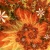 :iconmagneticvoid: