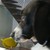 :iconmagoo1125:
