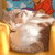 :iconmagoo2u: