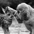 :iconmagrue88: