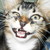 :iconmagykblade: