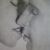 :iconmaharper4:
